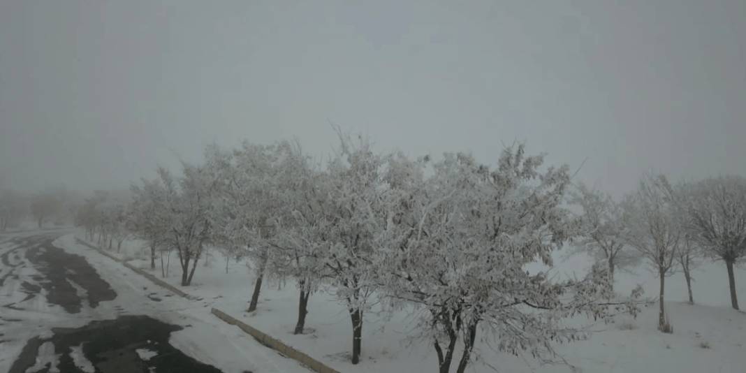 Bitlis’te dondurucu soğuk etkili oluyor: Hava sıcaklığı eksi 13,8 dereceyi gördü 9
